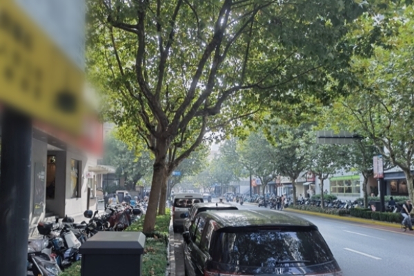 解決付費信息不同步問題，上海停車平臺持續(xù)優(yōu)化服務與智慧化管理