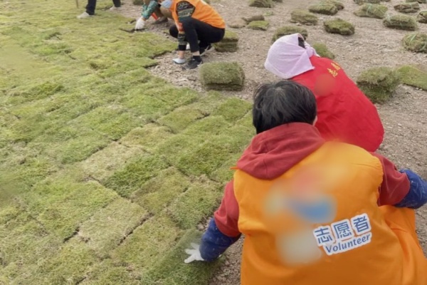 祝橋鎮(zhèn)施灣社區(qū)：從荒廢空地到整齊停車場(chǎng)，解決停車難問(wèn)題