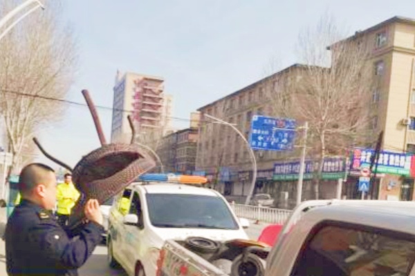 鐵東區(qū)執(zhí)法局開展專項行動，整治商戶占用路邊停車位問題