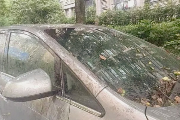 杭州“僵尸車”難題：城市停車管理頑疾待解