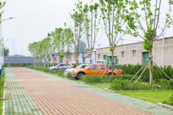 北京大興新景初現(xiàn)林下停車場，創(chuàng)新停車模式解決停車難題