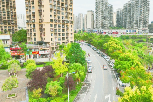 宣漢縣智慧停車項(xiàng)目：提升城市管理水平，激活停車新活力