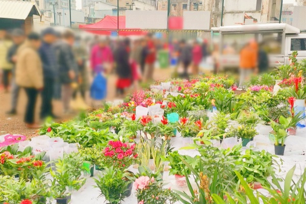 襄陽 “共享車位”：五顏六色的停車場集市讓煙火與溫情共綻