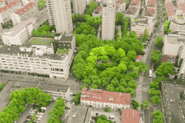 上海停車治理：空間再造+錯峰共享+智慧賦能破題供需矛盾