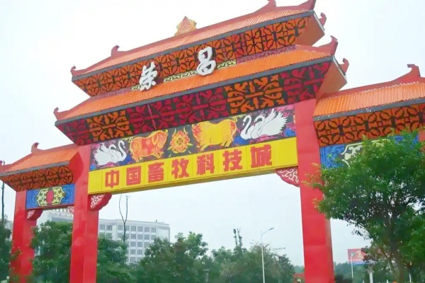 榮昌試水節(jié)假日全免費(fèi)停車政策，市民游客體驗(yàn)改善催生消費(fèi)新機(jī)遇