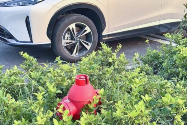 彈性停車位試點(diǎn)背后的技術(shù)邏輯與行業(yè)啟示