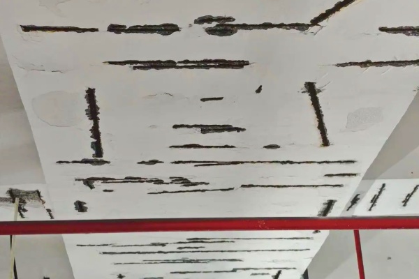 濱江沿江景觀停車場(chǎng)梁柱鋼筋存安全隱患，管理方擬出維修計(jì)劃