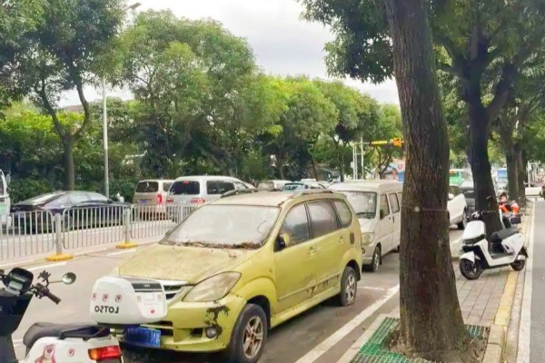 深圳多區(qū)域現(xiàn)“僵尸車”圍城：市政路擁堵、停車場占位，治理為何遇阻？